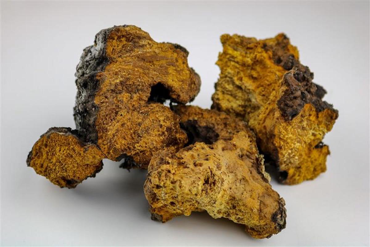 nam-chaga-vien-kim-cuong-cua-rung-xanh