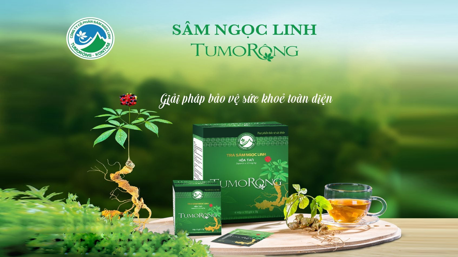 tra-sam-ngoc-linh-giup-tang-cuong-suc-de-khang