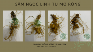 nhung-dau-hieu-canh-bao-ung-thu-va-cach-phong-tranh-voi-sam-ngoc-linh-tu-mo-rong